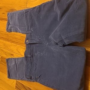 Anthropologie Pilcro and the letterpress Size 29T Corduroy Blue Pants